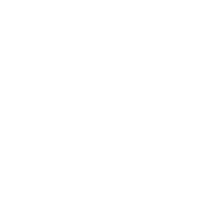 FOUNDATION